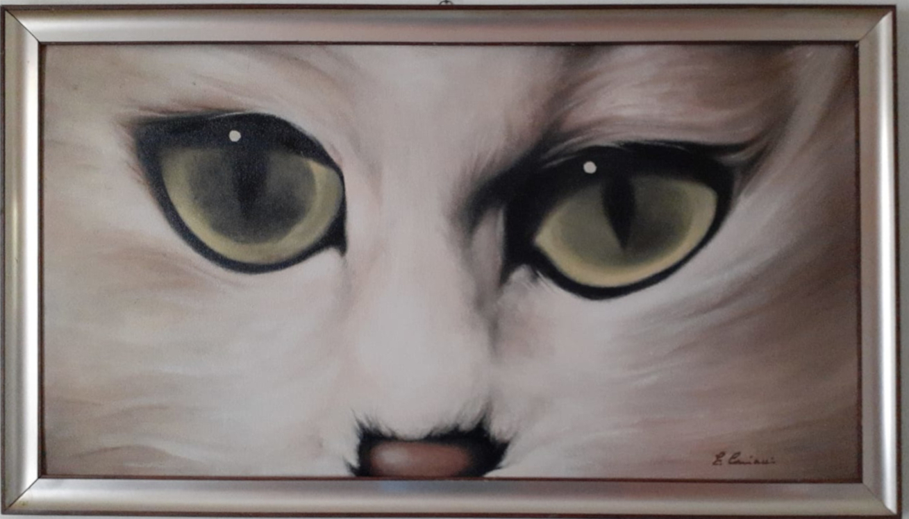 Gli occhi del gatto olio su tela di Eraldo Cariani
